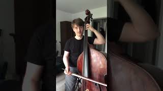"Serce" by Janusz Prusinowski Trio cover na kontrabasie #bass #realbasscover #music