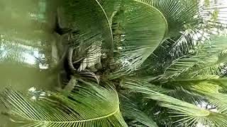 ve_mien_tay_dong_thap 20180107 1108301