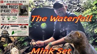 Catch more Mink with "the waterfall" set, Quick and Easy to do, and completely invisible