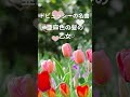 ドビュッシー の名曲からセレクトしました♪BGM Debussy #shorts