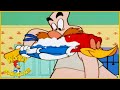 Woody Woodpecker Show | Sleepwalking Woody | Full Episode | Cartoons For Children