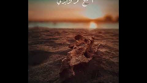سورة الشمس - الشيخ عمر القزابري Omar Qzabri