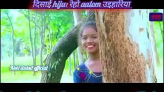 hara tora reging kushiyagme new santhali hits video