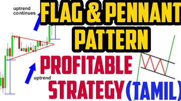 Flag Pattern & Pennant Pattern Explained| Candlesticks Chart Analysis| Tamil