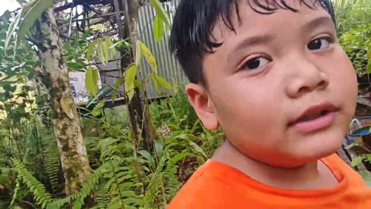 Lepak Di kebun semasa balik kampung sambil ambil sayur kampung 