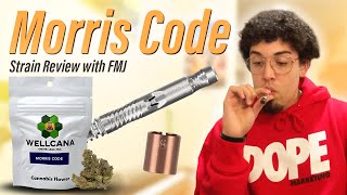 Morris Code | Louisiana Medical Marijuana Review | FMJ