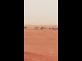 مسحوب مرحبا باللي سلامه لفانا من جنوب اداء علي راشد الاصم المري الهزاني 