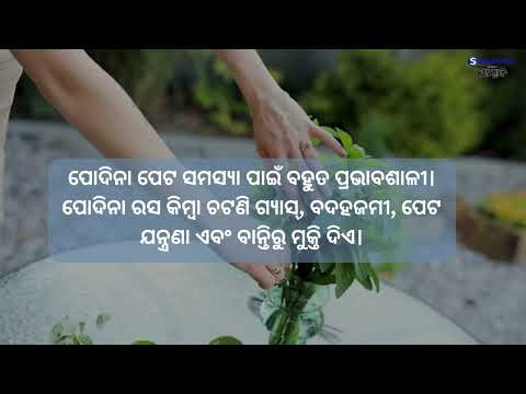 ଶରୀରରୁ ଜଳୀୟ ଅଂଶ କମିଗଲେ ପିଅନ୍ତୁ ପୁଦିନା ସର୍ବତ
