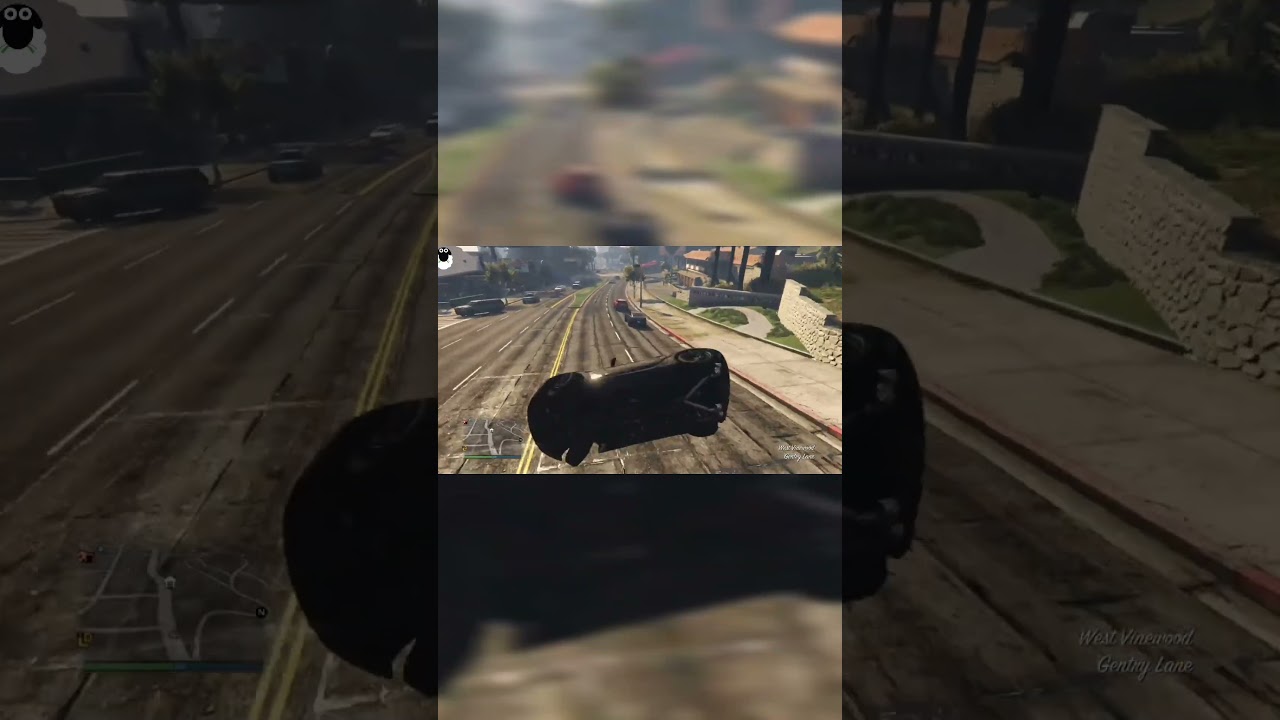 Tom and Jerry were inside the car in GTA V