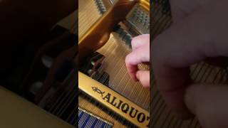 Tuning Of The Bluthner Aliquot String