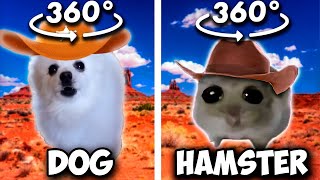 360º VR Gegagedigedagedago Dog Vs Hamster