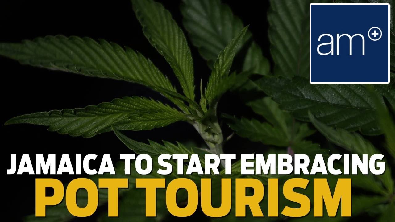 Jamaica To Start Embracing Pot Tourism | Dispatch - YouTube