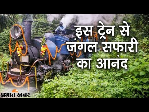Siliguri To Rongtong Vistadom कोच वाली Jungle Tea Safarri Train की शुरुआत | Prabhat Khabar