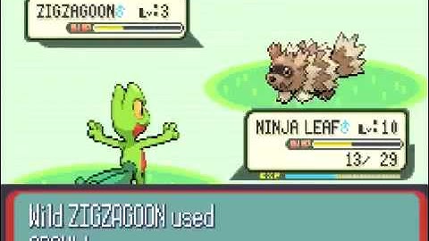 Pokemon Ruby Walkthrough Part 2