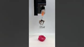 Tote Spinnen Zu Robotern Gemacht