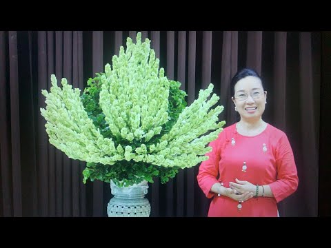 Video Hướng dẫn cắm hoa huệ dạng búp sen - youtube