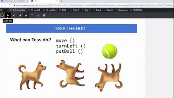 Javascript Course 1 - Lesson 2 (Tess the Dog)