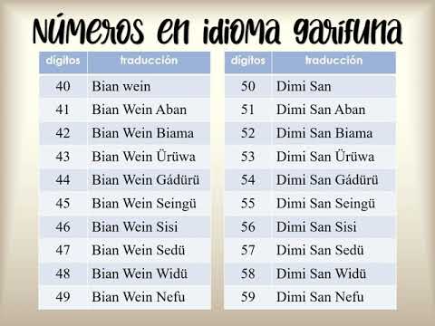 Numbers In Garifuna Númeru- números en idioma garífuna - YouTube