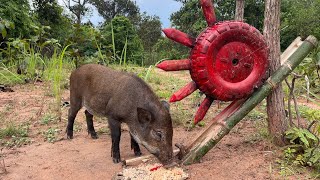 Amazing Most Building House Wild Pig Trap Using Wheels with sharp thorns #wildanimal #animals Pt.10