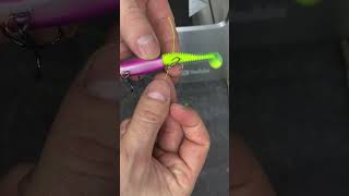 Leurre souple ou pas? #leurresouple #fishingvideo #fishing screenshot 2