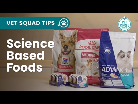 Videó: A kutyák enni sajtot?