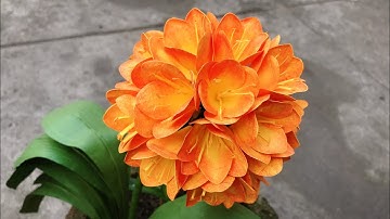 ABC TV | How To Make Clivia Paper Flower | Flower Die Cuts - Craft Tutorial