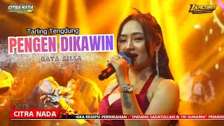 PENGEN DIKAWIN ~ RAYA AILLA // CITRA NADA LIVE DESA SUMBER KIDUL //  KEC.BABAKAN - CIREBON