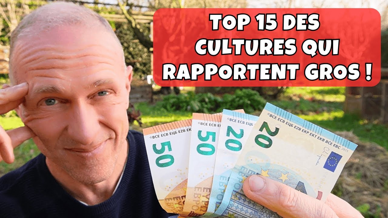 Combien rapporte un potager...? Top 15 des cultures dans mon potager au m²