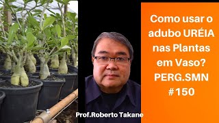 Como usar o adubo URÉIA nas Plantas em Vaso? PERG.SMN#150. Prof.Roberto Takane