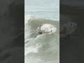 🇪🇸 Spain's Janire Etxabarri surfs to GOLD at the 2025 ISA World Surfing Games El Salvador!