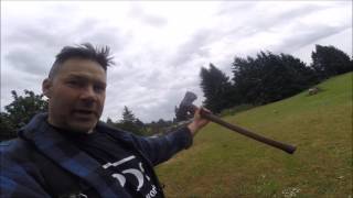 PRUNING MOUNTAIN ASH TREE