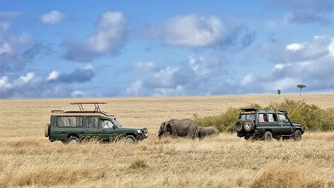 Mara Naboisho Conservancy | Masai Mara Safari