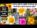 March mein Karen garden ke liye yah jaruri kaam.#gardening #flowers