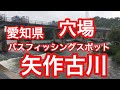 矢作古川 愛知県バスフィッシングスポット ブラックバス
