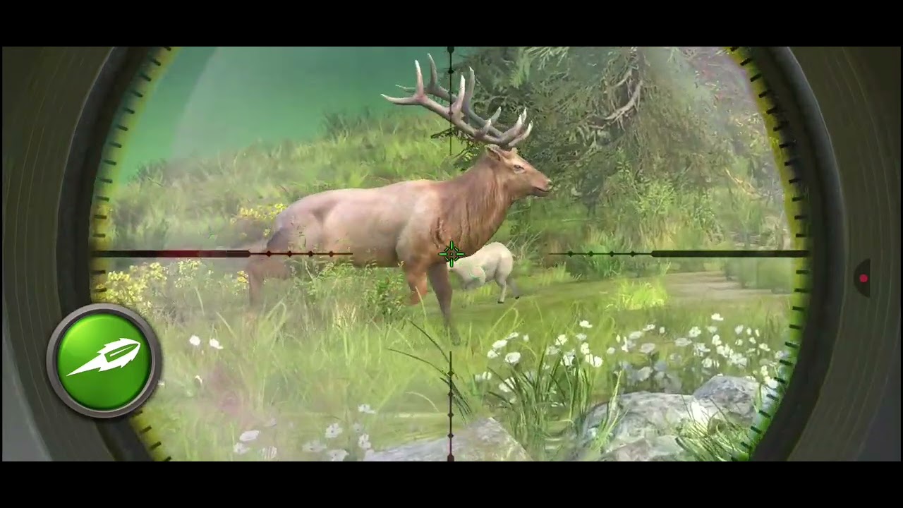 Welcome back to hunting clash (part 2)