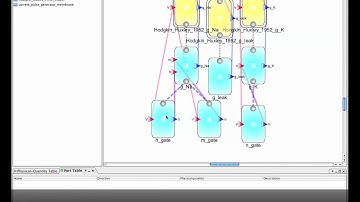 CellML Compatibility of PhysioDesigner