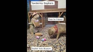 Stuffed Gopher | Drops the groceries #tribalexpression