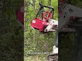 Day in the Life: Land Clearing Crew 🌲