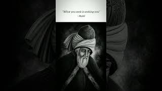 Ceea ce cauți te caută pe tine | Rumi