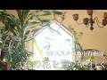 春になったのでお花を買いに行きました/変わった種類の花も見つかる園芸店/山中育樹園〘大阪〙