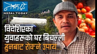 विदेशिएका युवाहरूको घर बिचल्ली हुनबाट रोक्ने उपाय ... [ The Nepal today ] Agriculture in Nepal