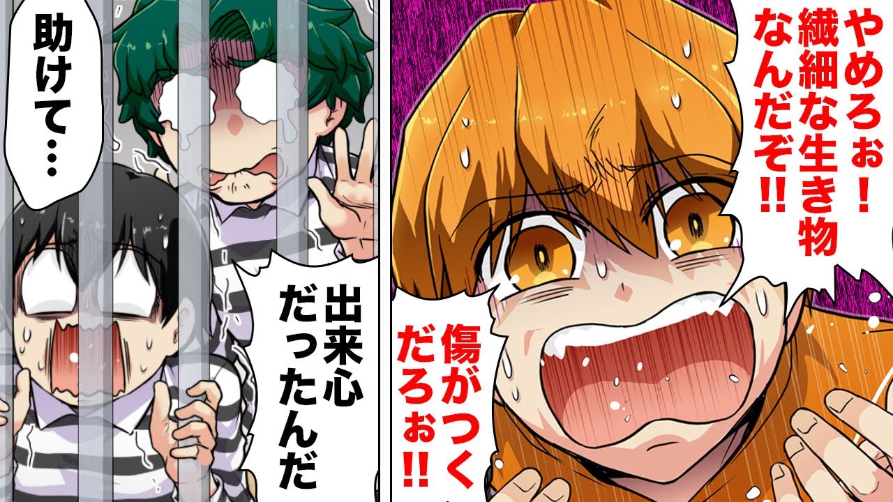 Comic] The fate of a group of thieves who pretend to remove