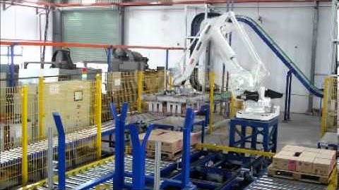 He thong xep pallet Truc Quan - Robot palletizer system