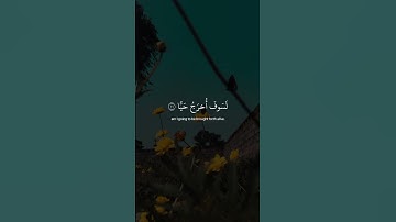 رب السموات والأرض وما بينهما | القارئ عبدالرحمن مسعد | قرآن كريم ..♡