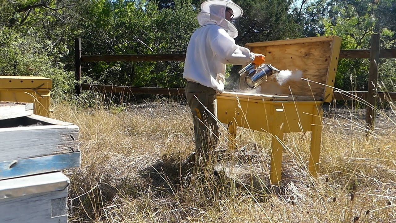 HORIZONTAL HIVE outperforming vertical? ... SURPRISED ME!