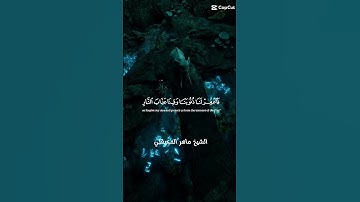 تلاوة القرآن الكريم بصوت الشيخ ماهر المعيقلي #قرآن #قران_كريم #راحة_نفسية