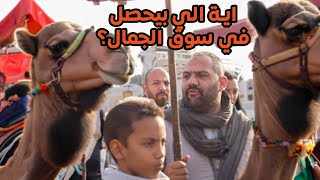 اكبر سوق جمال في مصر - Camel market in Egypt