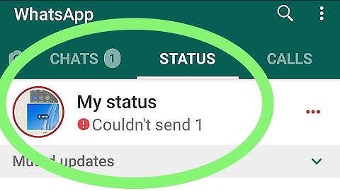 How To Fix (Solve) Whatsapp Status Couldn