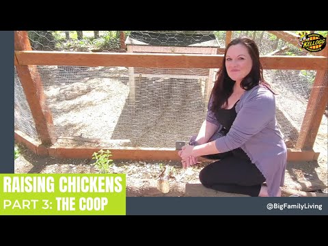 Customizing The Chicken Coop 🐣 🐥🐓 Raising Chickens Part 3