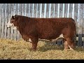LOT 108J WOLFE FARMS 2022